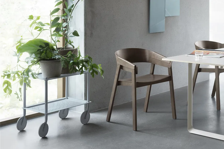Restore Basket / muuto�ʥե����ȥ��꡼ / �ࡼ�ȡ�