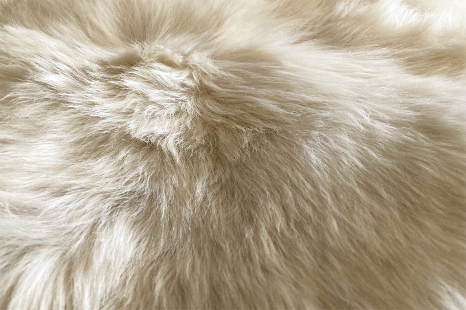 Sheepskin Rug / Natures Collection�ʥ����ץ����� �饰 / �ͥ����㡼�� ���쥯������