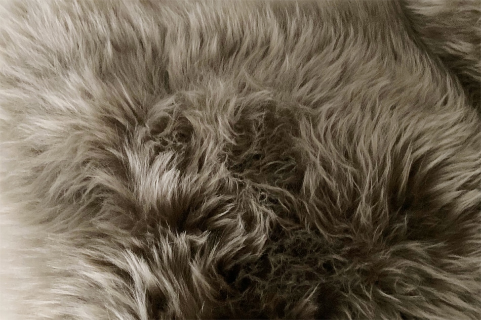 Sheepskin Rug / Natures Collection�ʥ����ץ����� �饰 / �ͥ����㡼�� ���쥯������