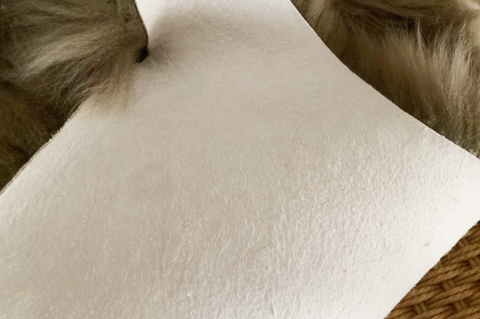 Sheepskin Rug / Natures Collection�ʥ����ץ����� �饰 / �ͥ����㡼�� ���쥯������