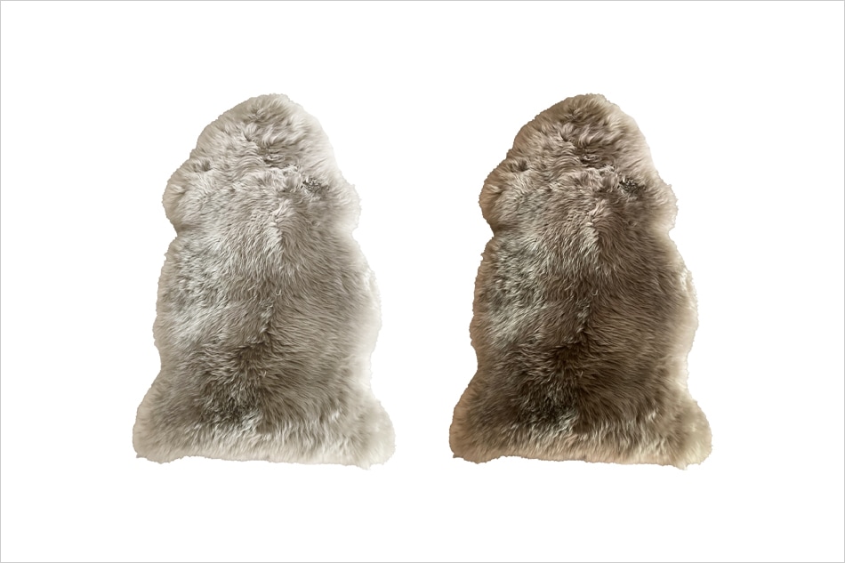 Sheepskin Rug / Natures Collection�ʥ����ץ����� �饰 / �ͥ����㡼�� ���쥯������