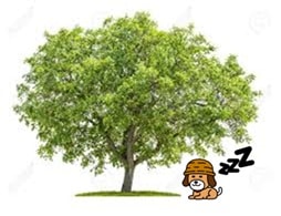 くるみ犬の特技