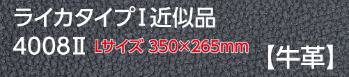 4044-1ⅡライカタイプⅠ牛革 Lsize