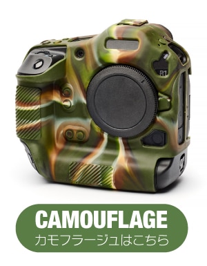 ����ե顼����Ϥ�����