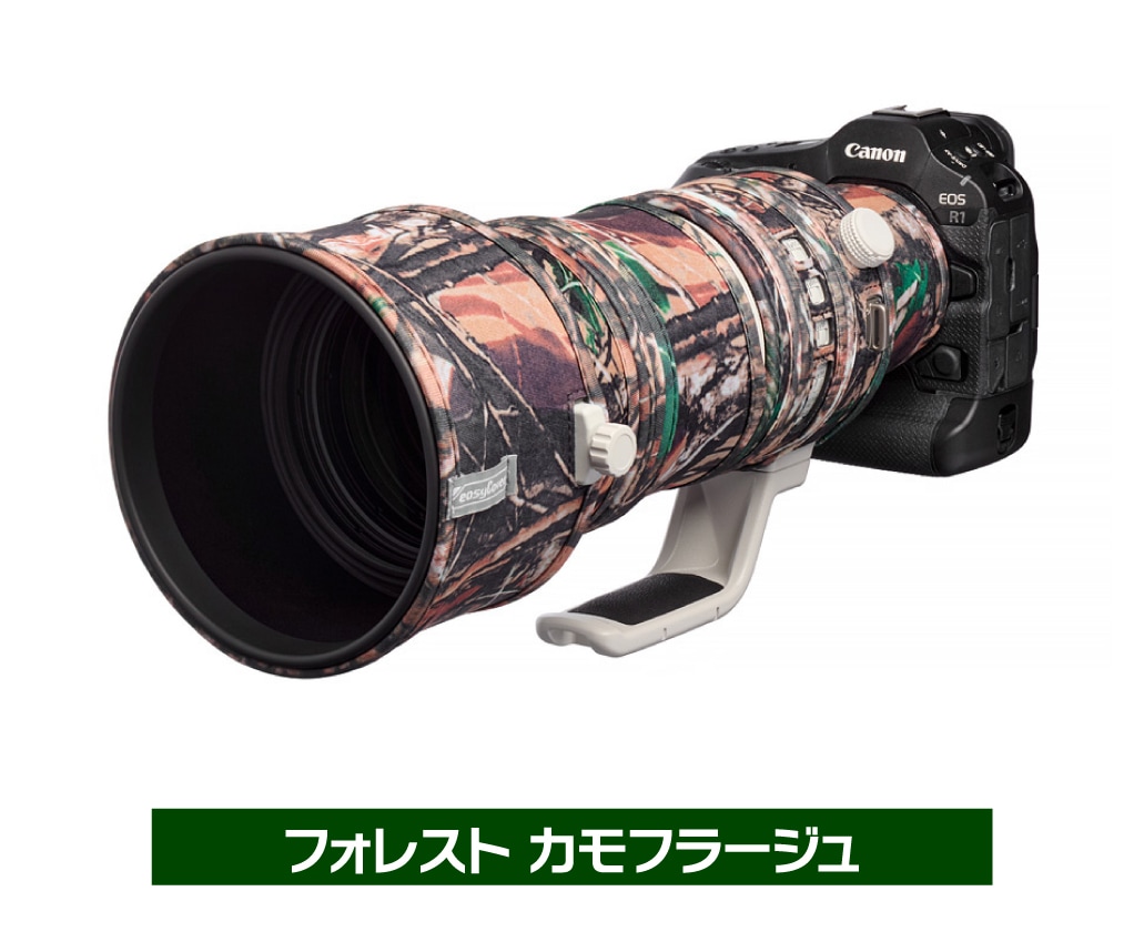 ����ե顼����Ϥ�����