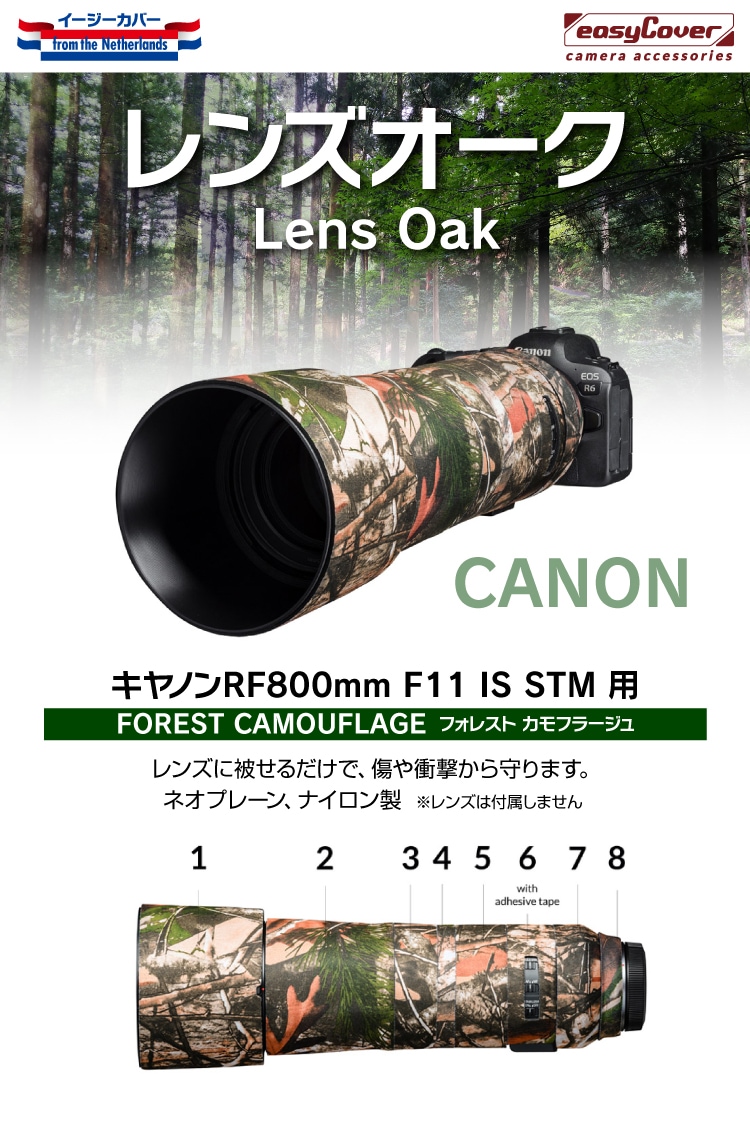 󥺥 Υ RF800mm F11 IS STM  ե쥹ȥե顼