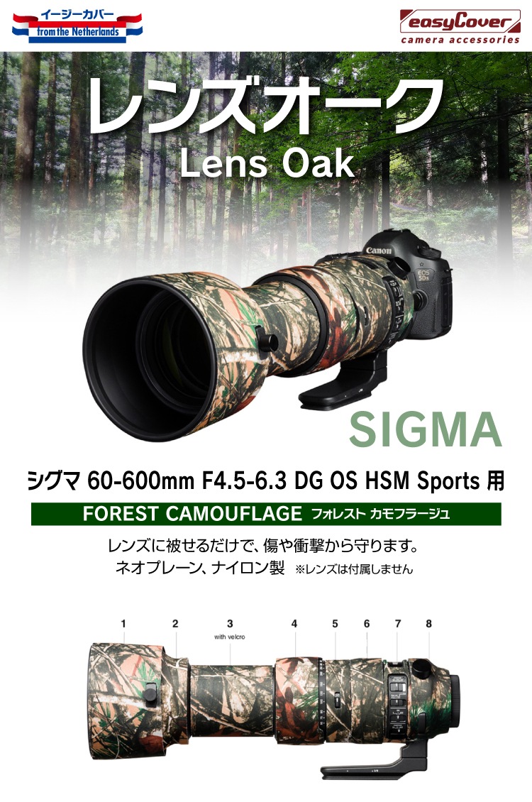  60-600mm F4.5-6.3 DG OS HSM Sport  ե쥹ȥե顼