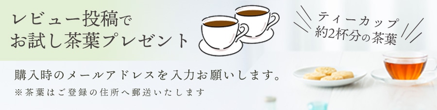 北欧紅茶【セーデルブレンド】クラシック缶（100g） | セーデル