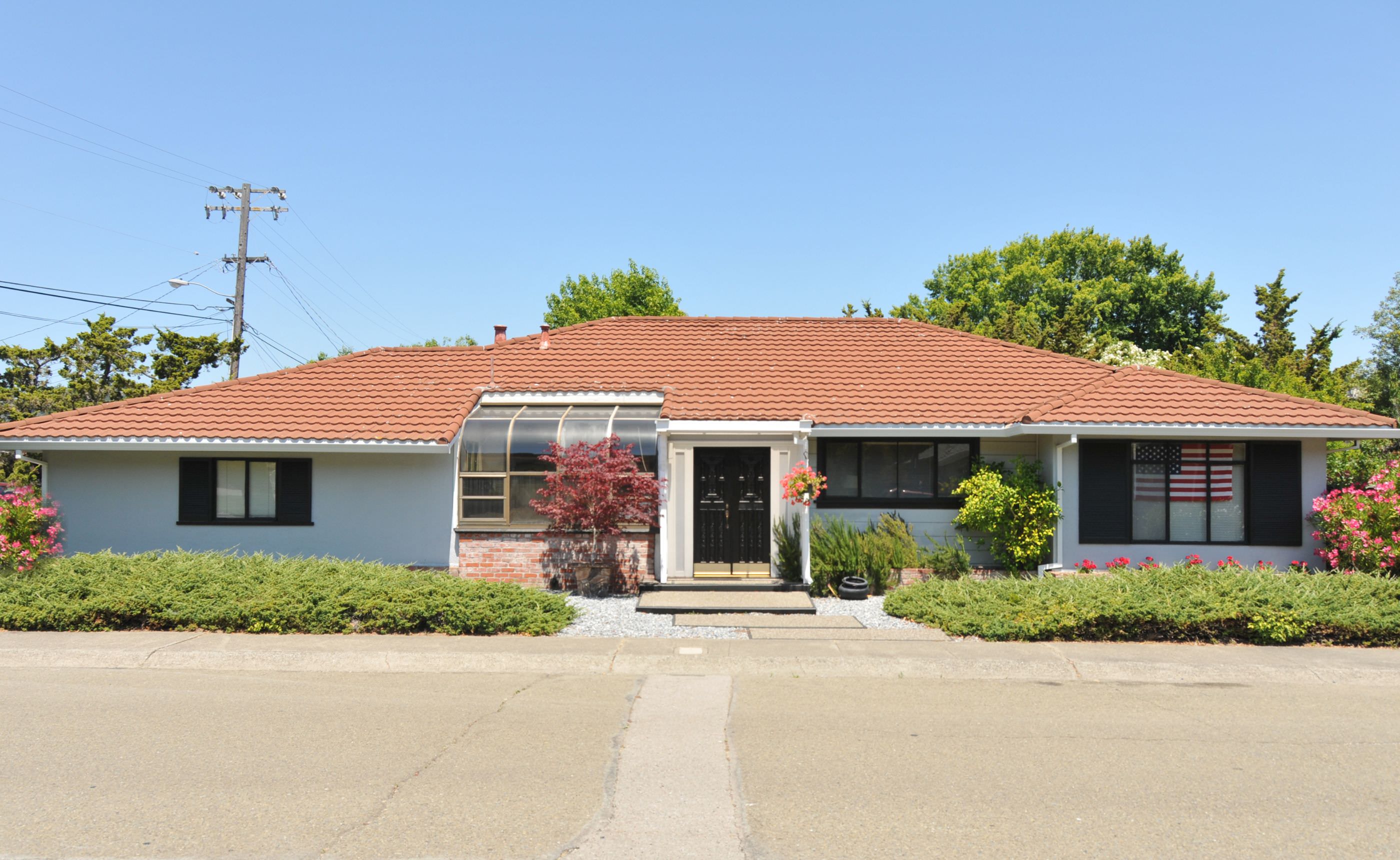 ����ꥫ�Ǥ褯�ߤ���ʿ���Υ������� �̲��ο�