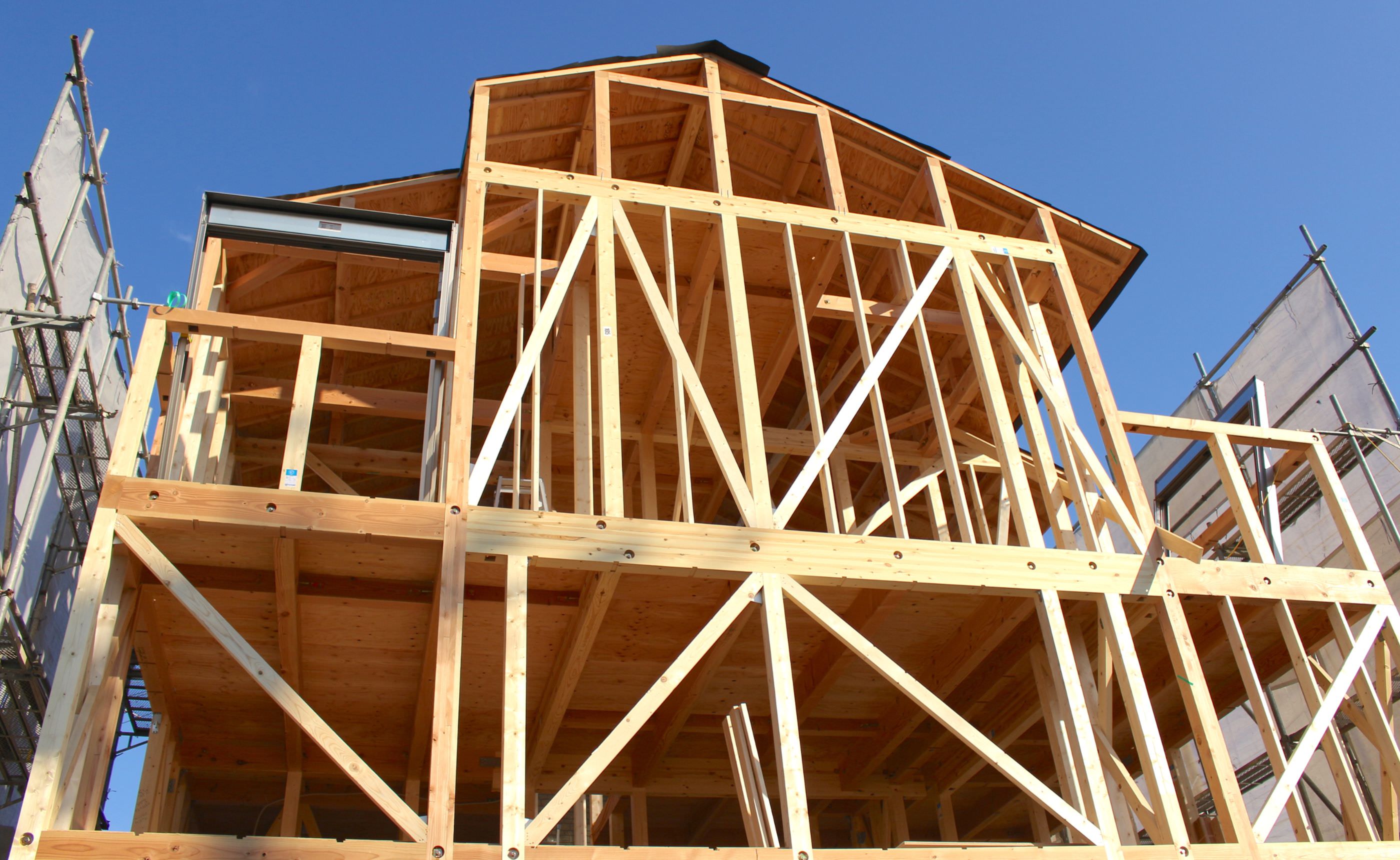 �����������¤������̲��ο�