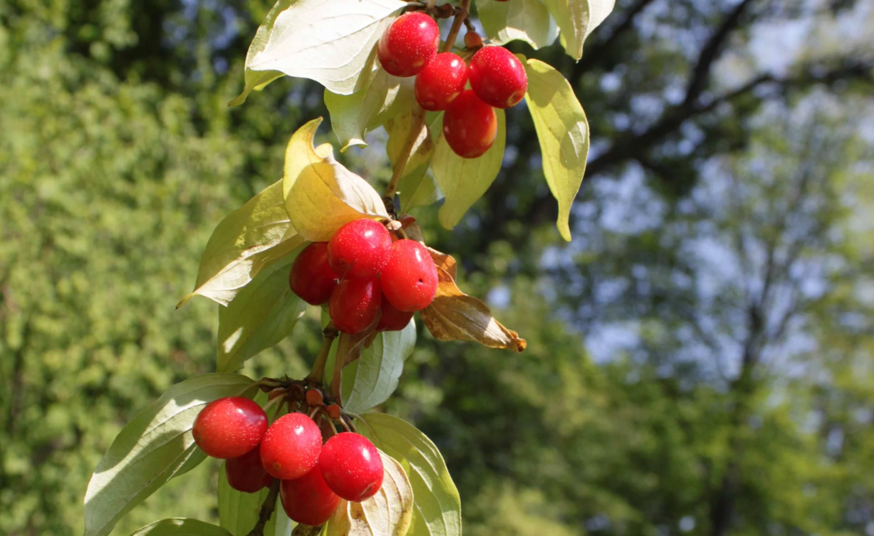 ���˼¤��֤����Ť�����楷�� �̲��ο�