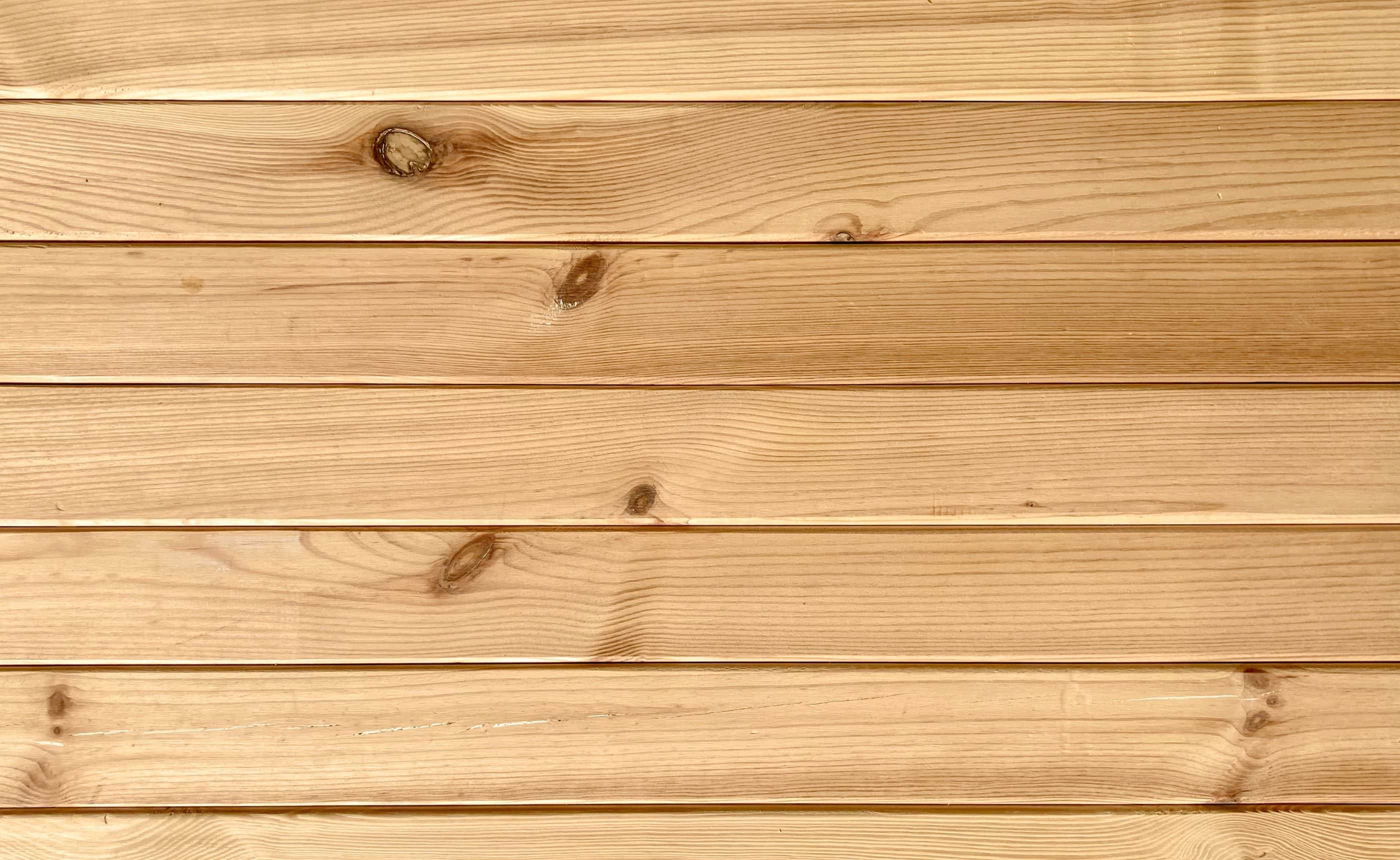 ���������ܤ�̥�ϤΥ���������̲��ο�