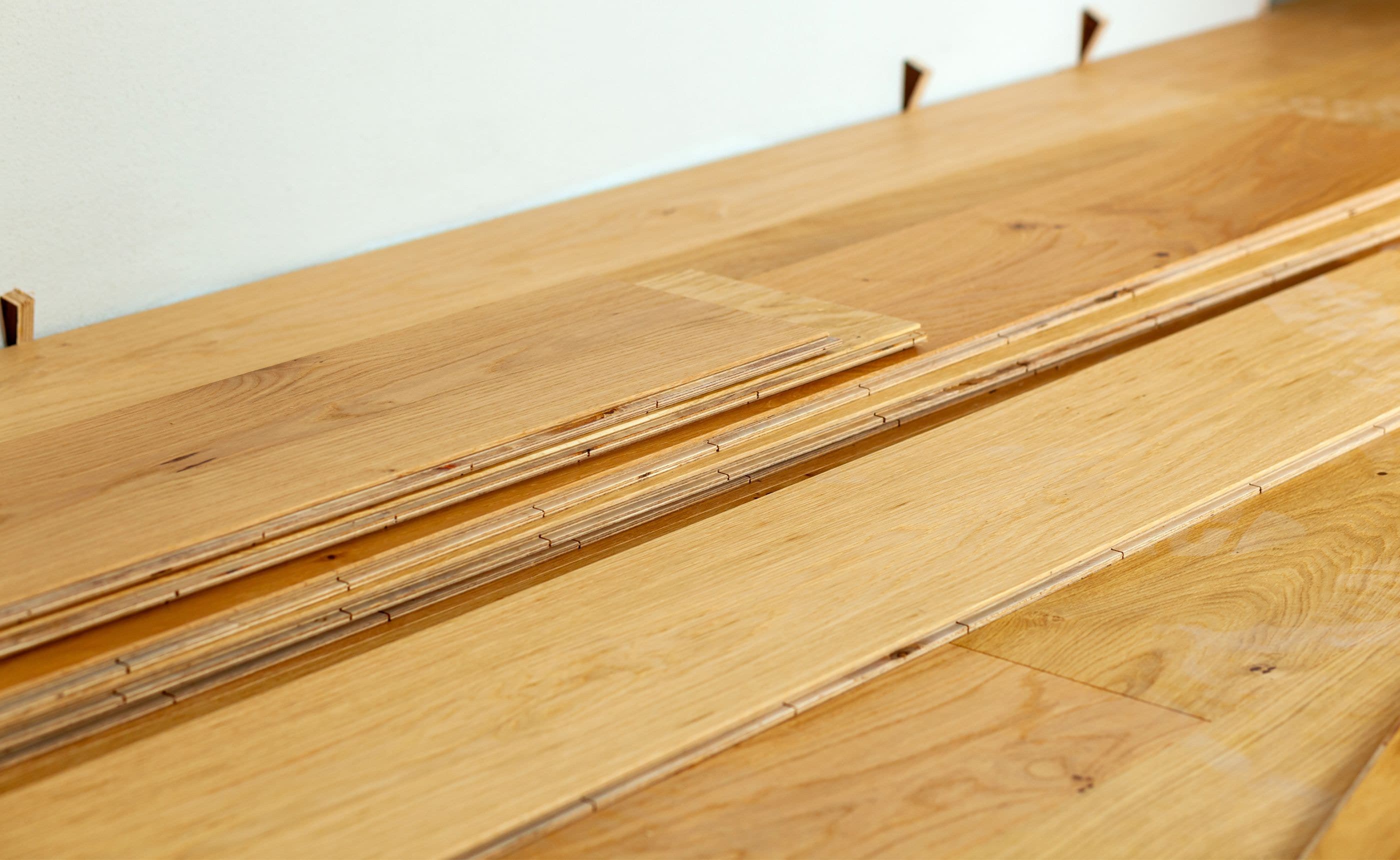 ����ˤ�褯�Ȥ��Ƥ��륪��������̲��ο�