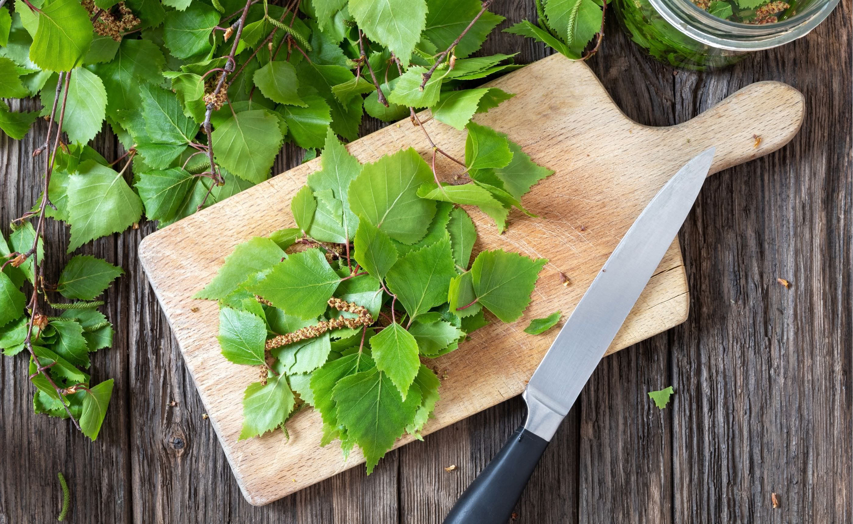 �����Τʤ����ܤ����뤤�������������饫�Ф��ں���̲��ο�