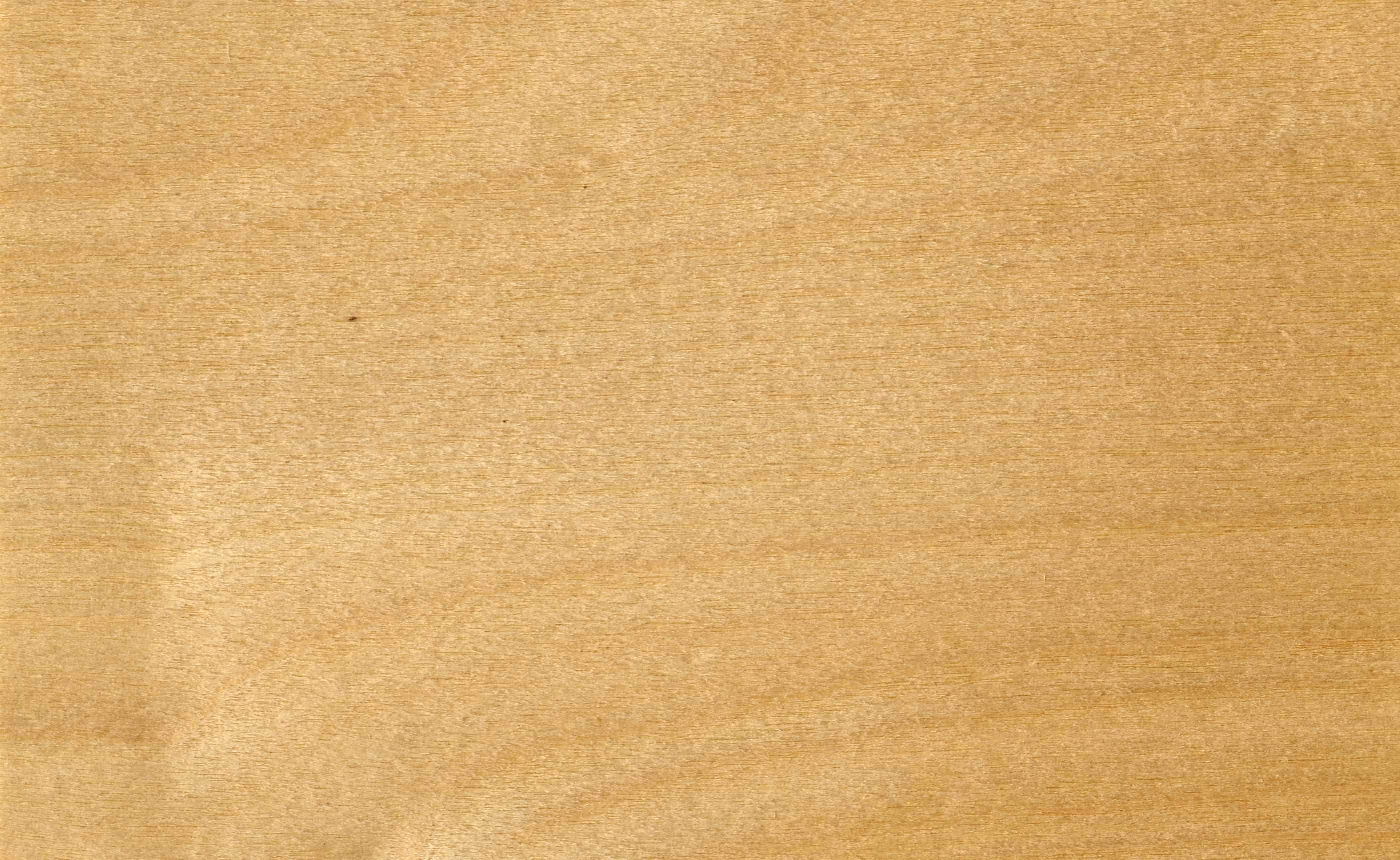 ̵���ե꡼��󥰤Ȥ��Ƥ�͵��ι⤤���饫�к���̲��ο�