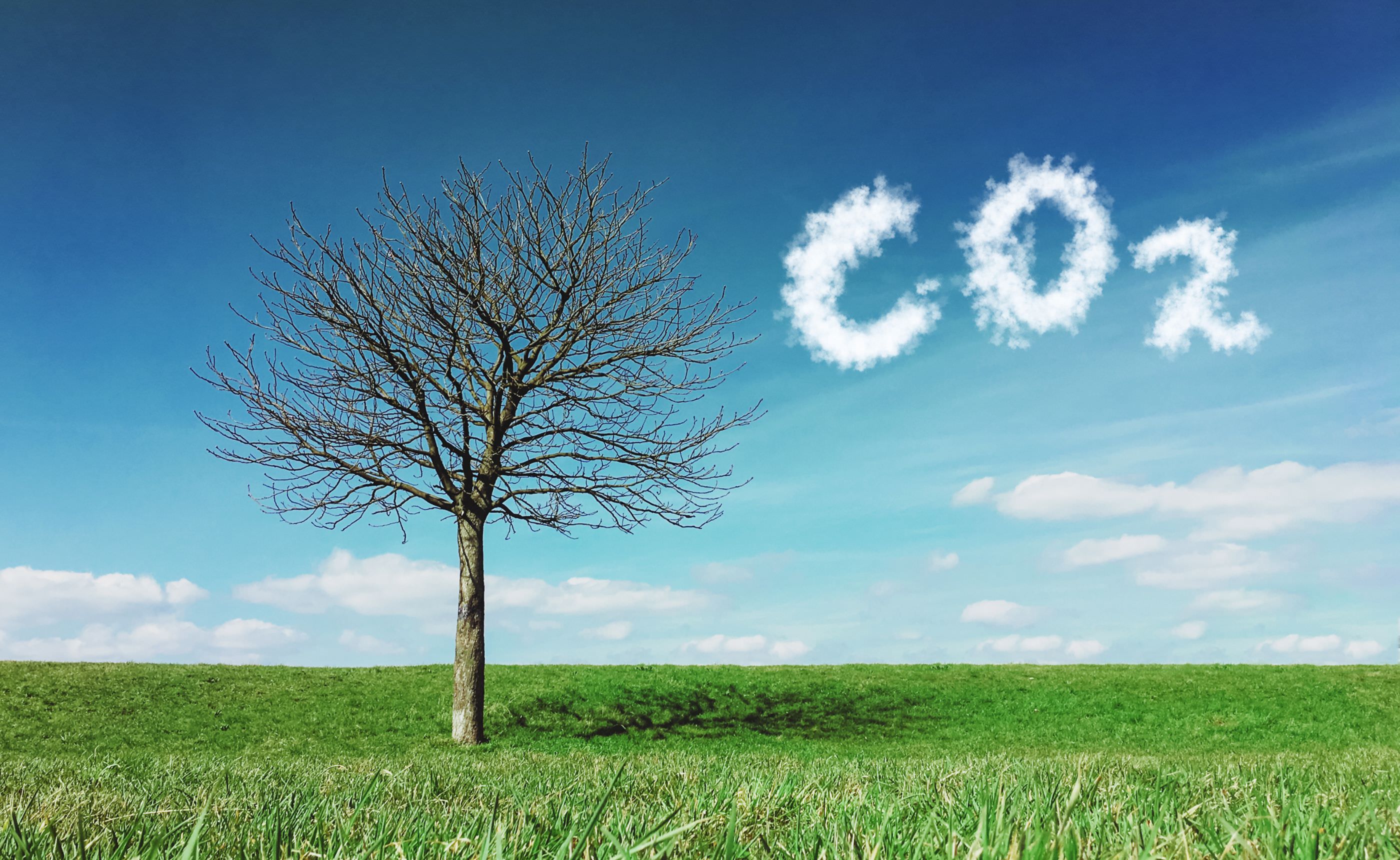 ڤȤƤǤʤȲθúǤꤷƤڡ̲ο