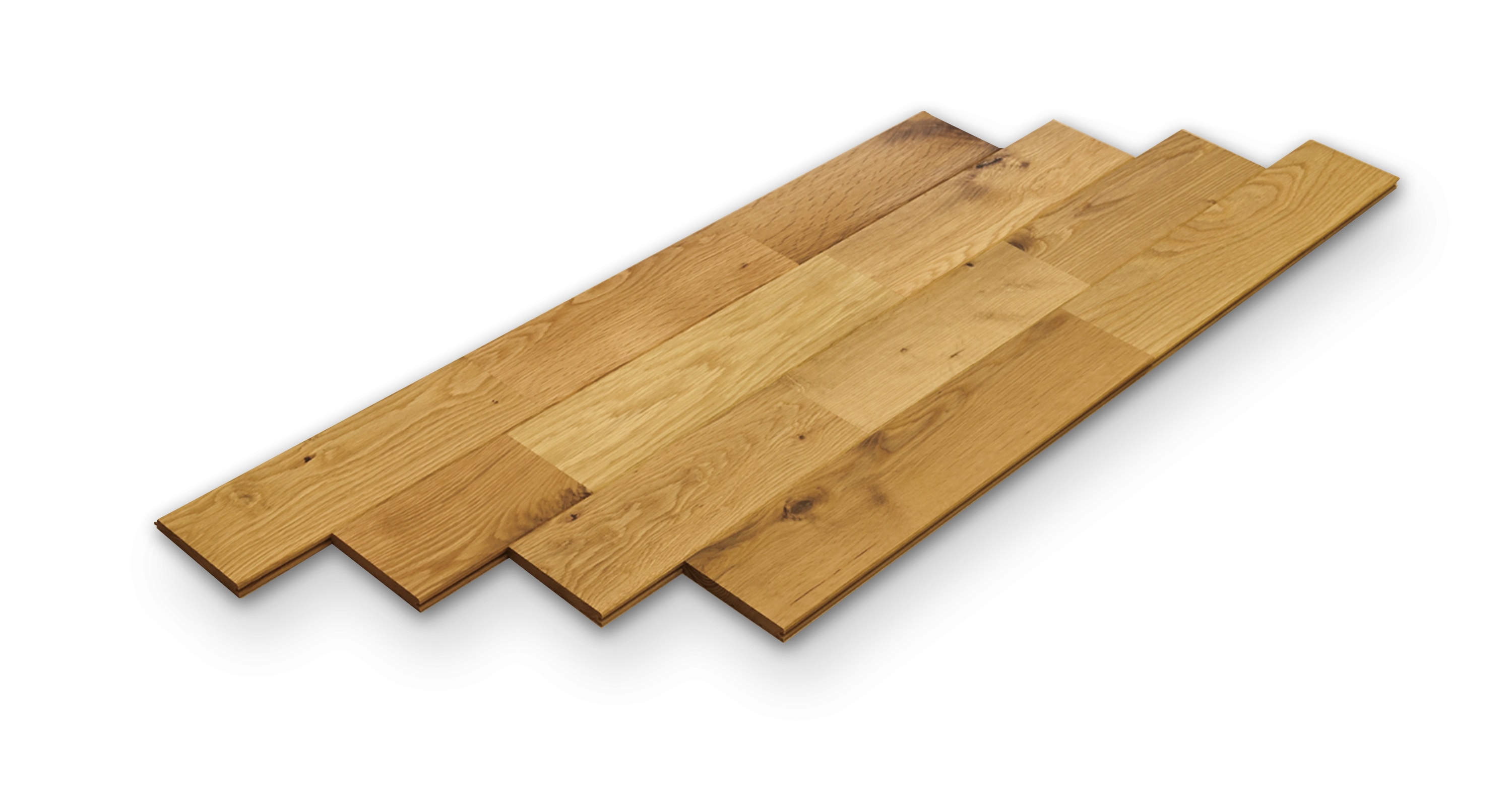 �ۥ磻�ȥ������ե�����󥰤Υ��ꥢ����������