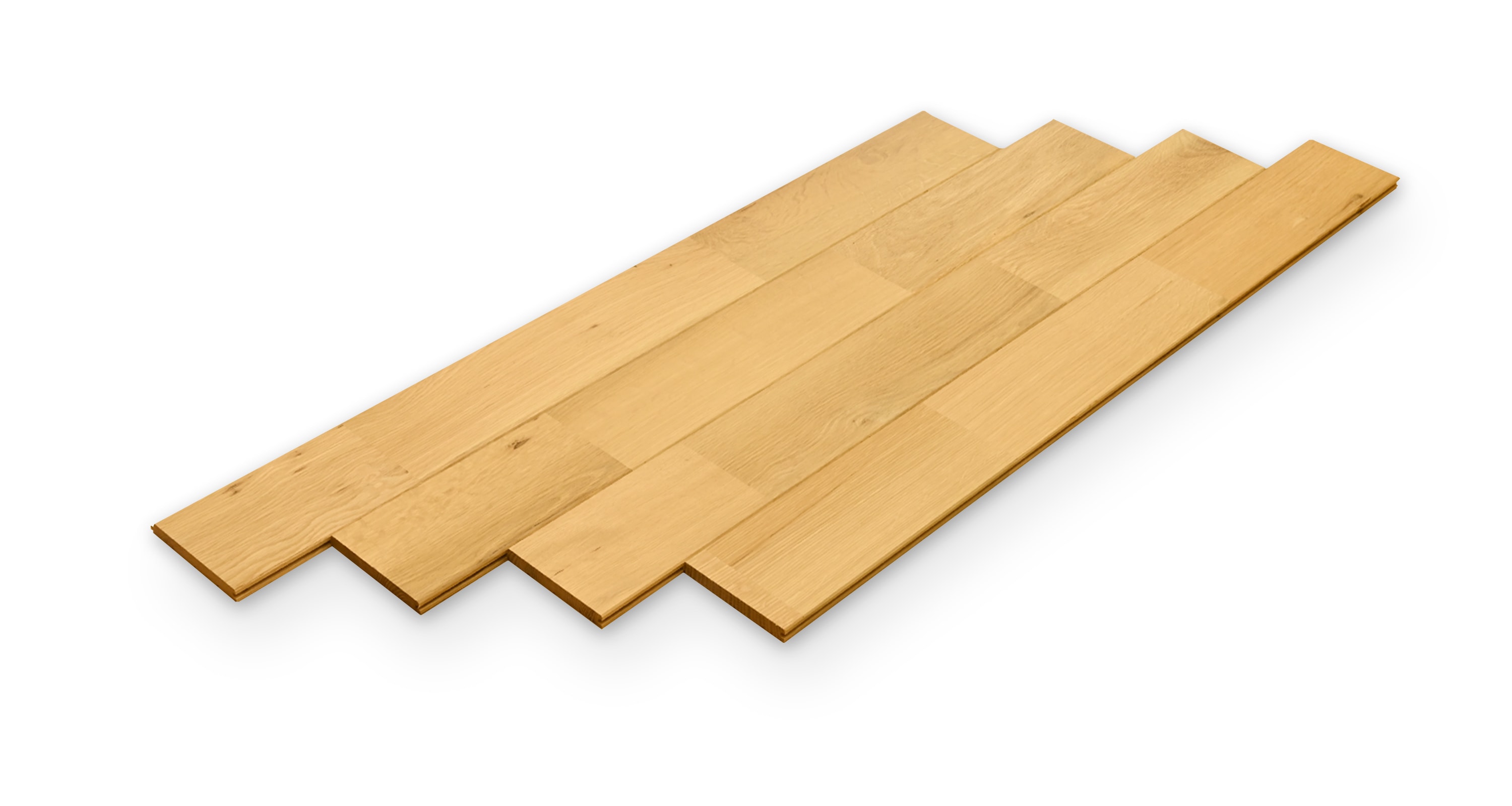 �ۥ磻�ȥ������ե�����󥰤Υ��ꥢ����������