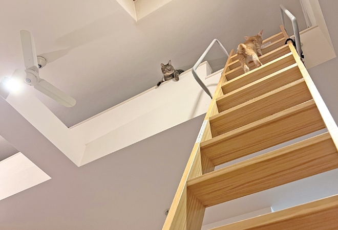 リビングにある収納・フリースペース用ロフトに掛かる木製ロフトはしご・セーフティーラダーのお部屋実例