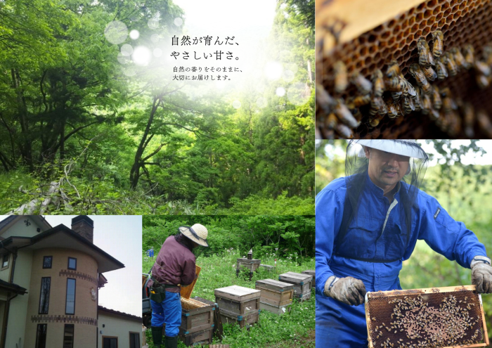 手作り白こん 400g 3個 本田屋 福島 会津 お取り寄せ ギフト