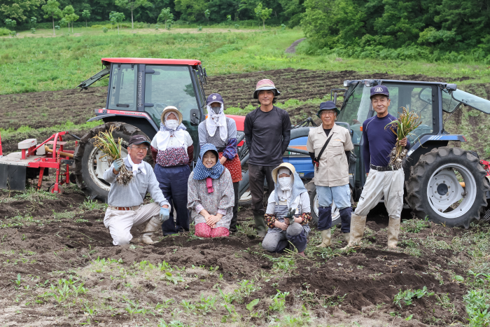 ブレンド茶「温」「健」「浄」 3種 本田屋 福島 会津 お取り寄せ ギフト