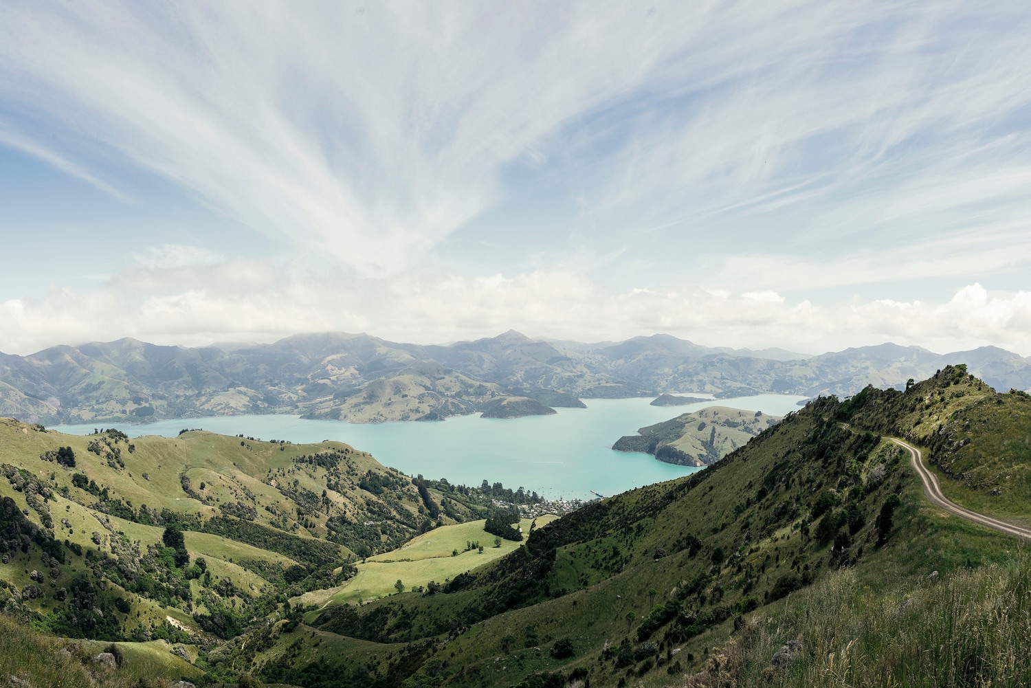 マヌカハニーの採取風景画像01