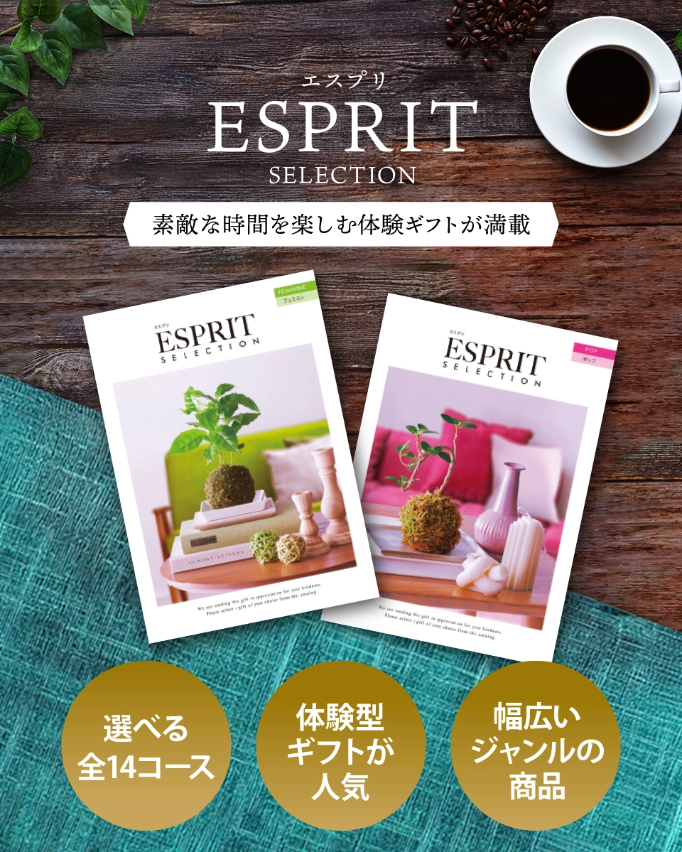 【半額以下！】カタログギフトエスプリエレガンスコース10冊まとめ売り値引き 当日出荷便】ハーモニック カタログギフト エスプリ エレガンスコース
