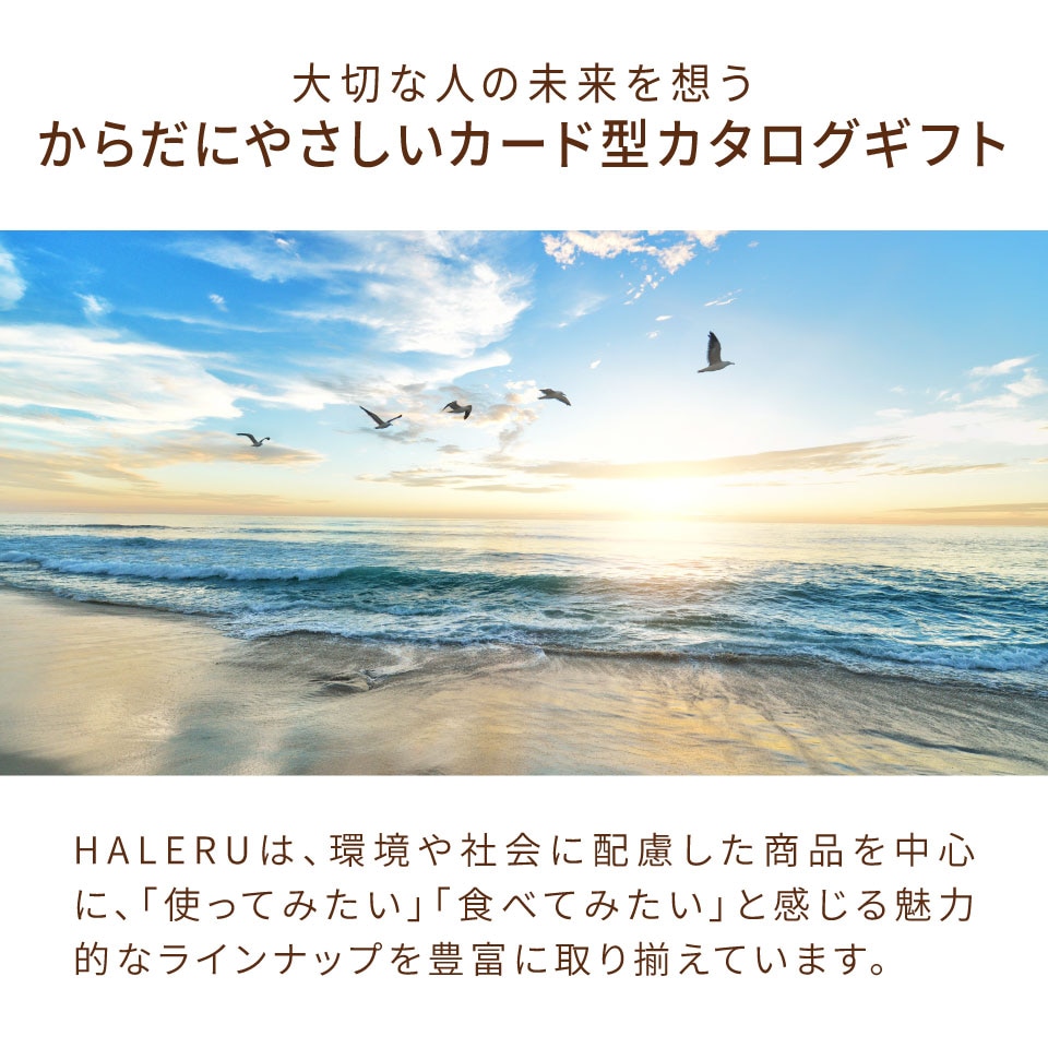カード式カタログギフト HALERU ハレル SKY 【送料無料】 | カタログギフト,個性派カタログギフト,HALERU（ハレル） | 香典 ...