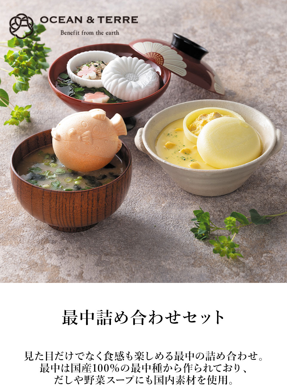 OCEAN & TERRE オーシャンテール 最中詰め合わせセットD【送料無料