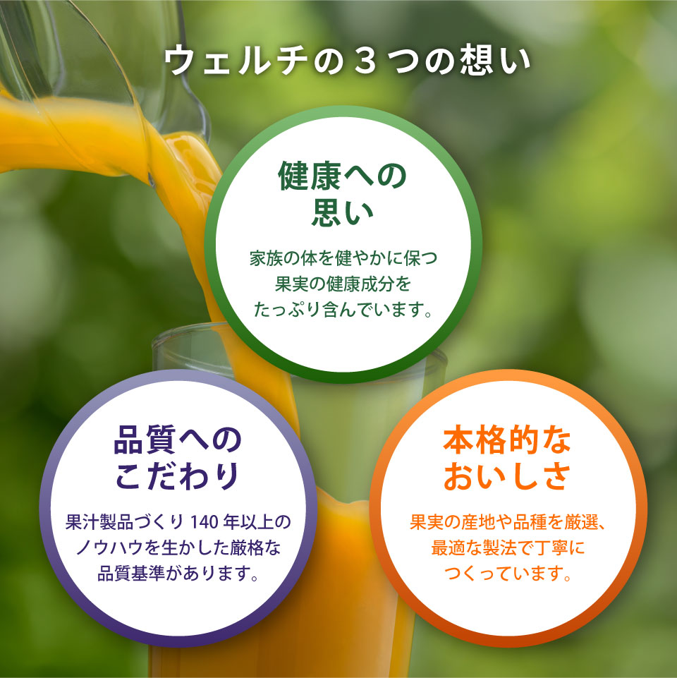 ウェルチ」 100%果汁ギフト(22本) WS30T 【送料無料】 | 食品ギフト