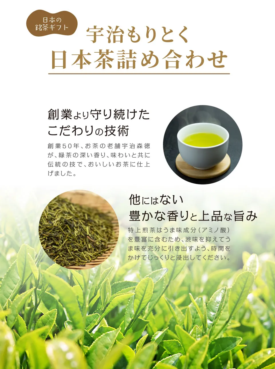 当日出荷便】宇治もりとく日本茶詰合せ MY40N 【送料無料】 | 日本茶