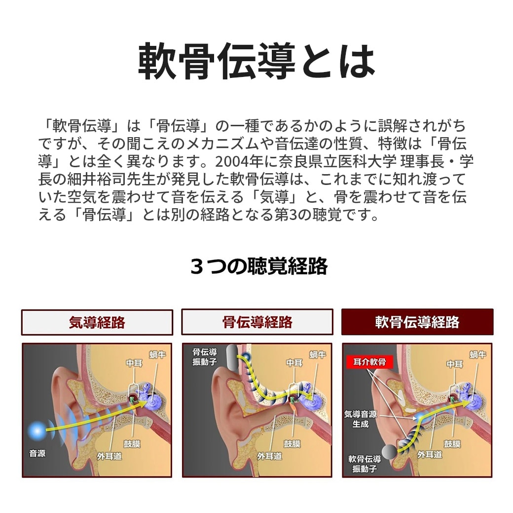 軟骨伝道