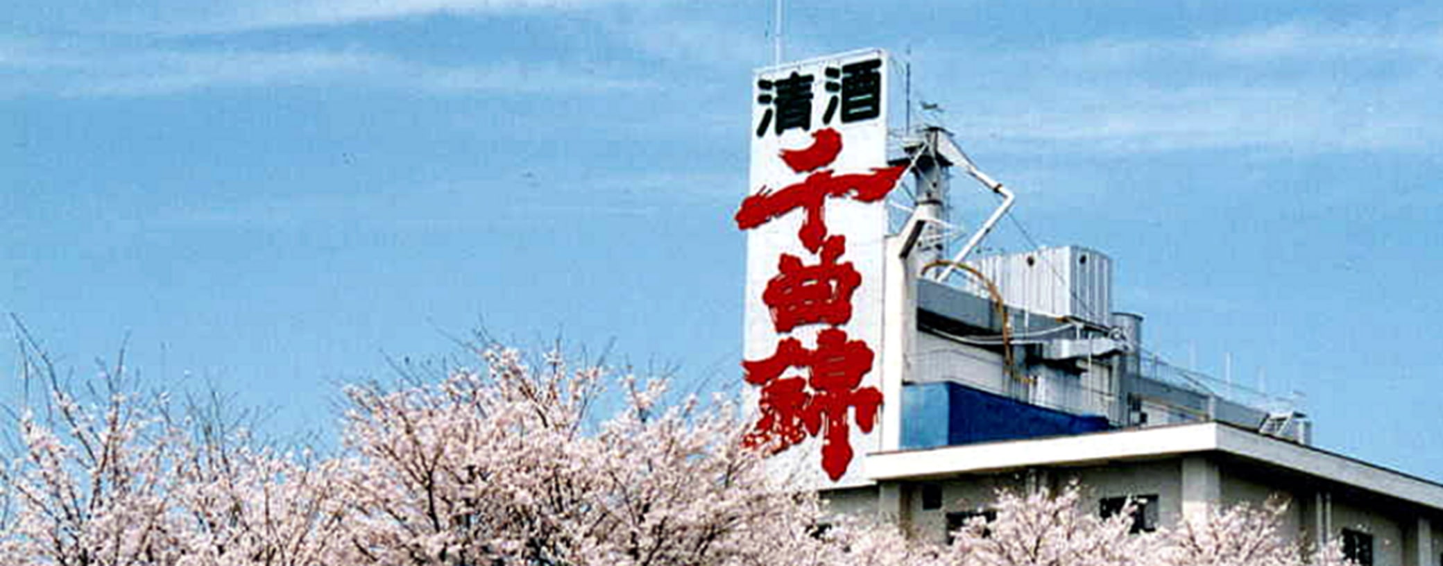 千曲錦