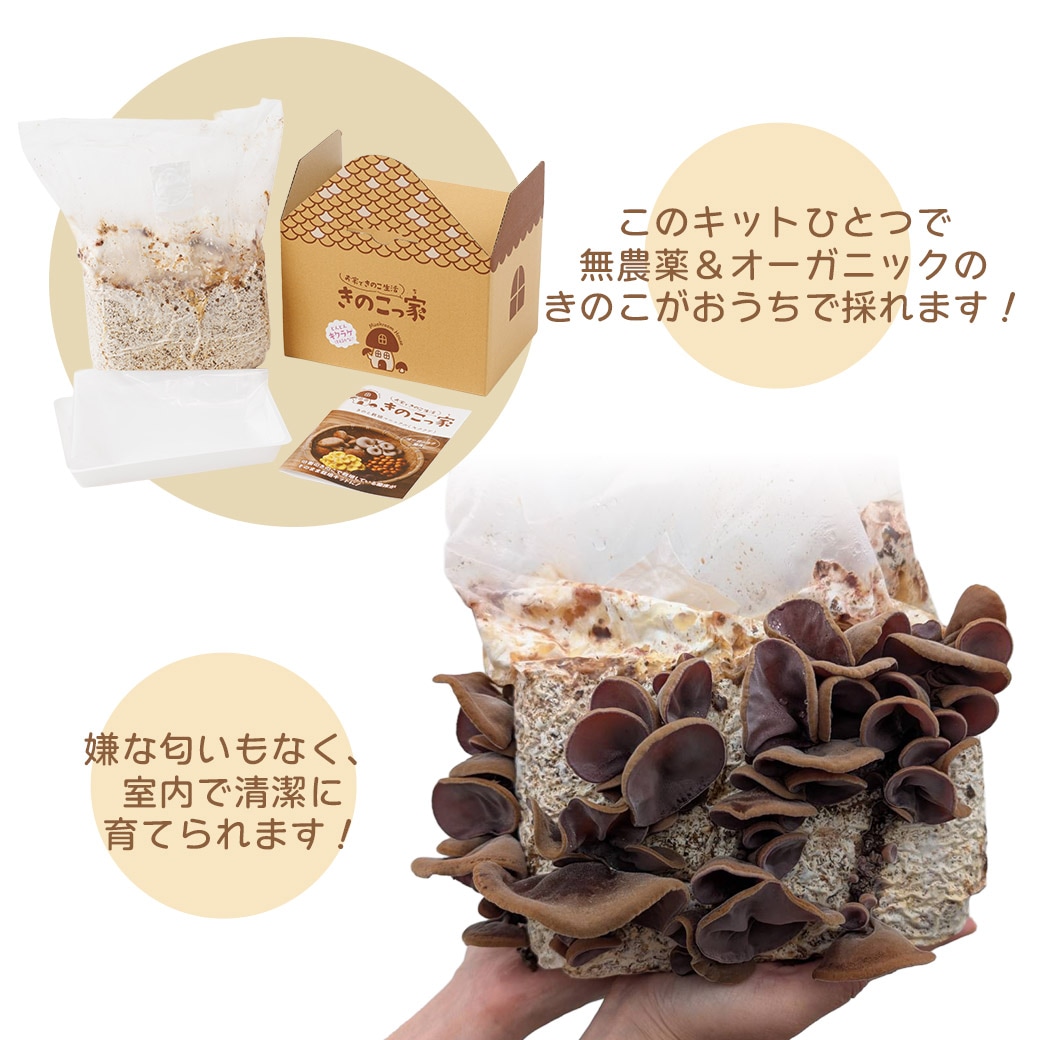 きのこ(おまとめ割実施中)　おまとめ 送料込】きのこ生活応援!!選べる『もりもり栽培キット』≪たもぎだけ