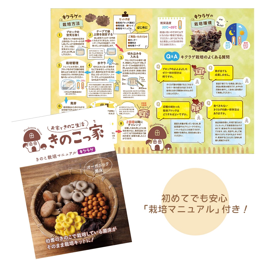 送料込】きのこ生活応援!!選べる『もりもり栽培キット』≪たもぎだけ