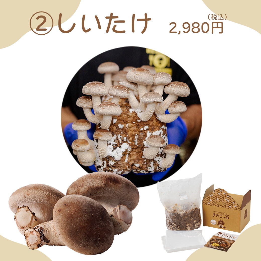 送料込】きのこ生活応援!!選べる『もりもり栽培キット』≪たもぎだけ