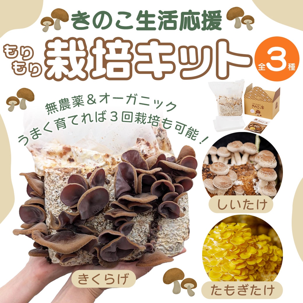 送料込】きのこ生活応援!!選べる『もりもり栽培キット』≪たもぎだけ
