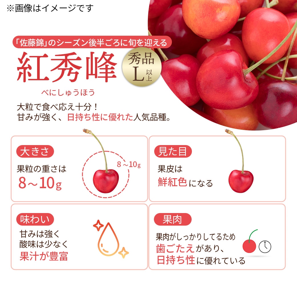 送料込】人気のさくらんぼブランドを3種から選べる！『佐藤錦』・『紅