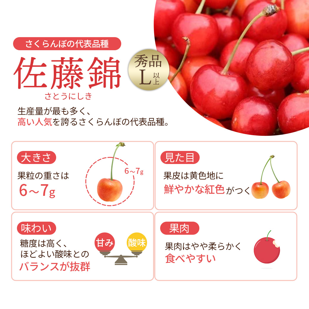 さちぽん　7枚セット ゼリー｜天の童｜JAてんどうフーズ通信販売
