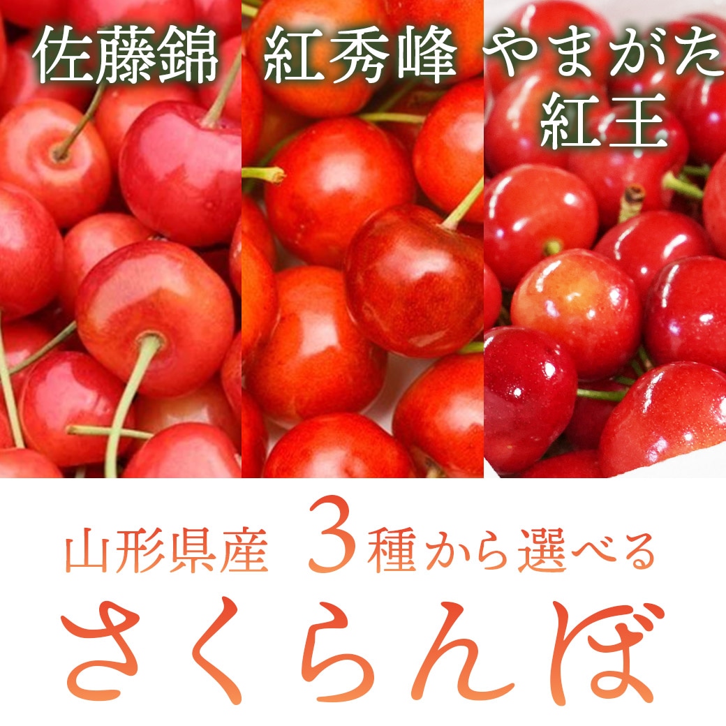 イメージ02