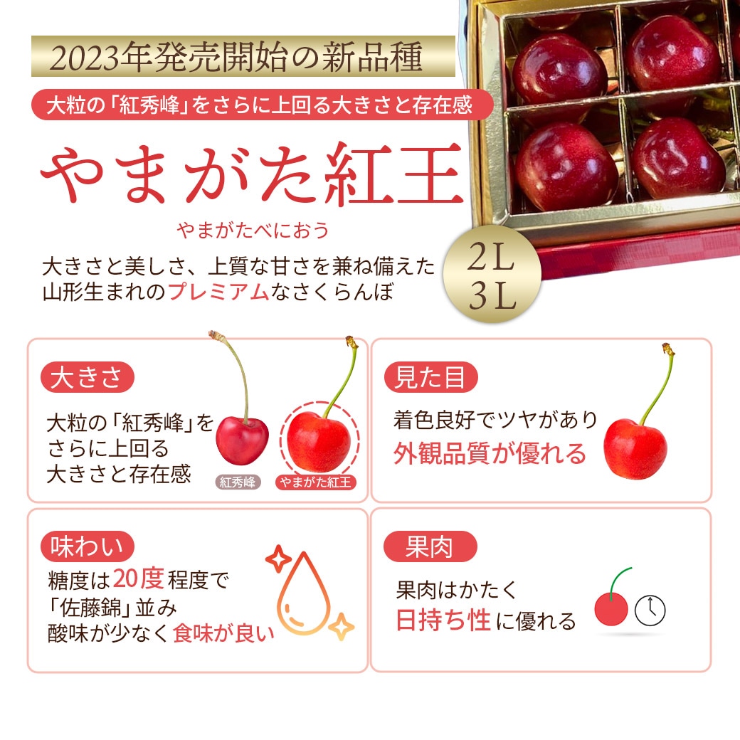 送料込】人気のさくらんぼブランドを3種から選べる！『佐藤錦』・『紅