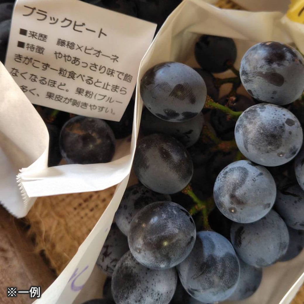 ぶどう③