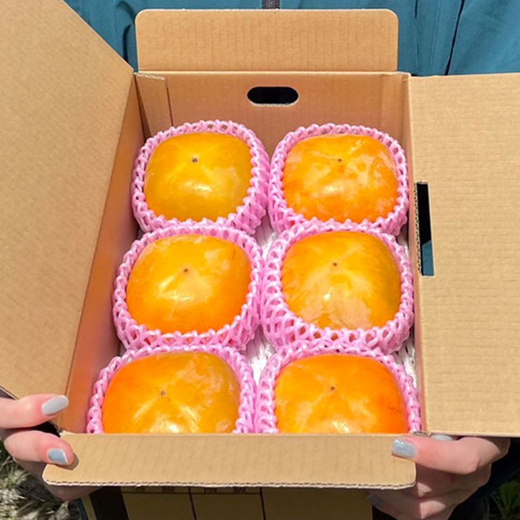 送料込】『たねなし柿・大玉3Lサイズ×6個』～まごころ栽培で溢れる果汁