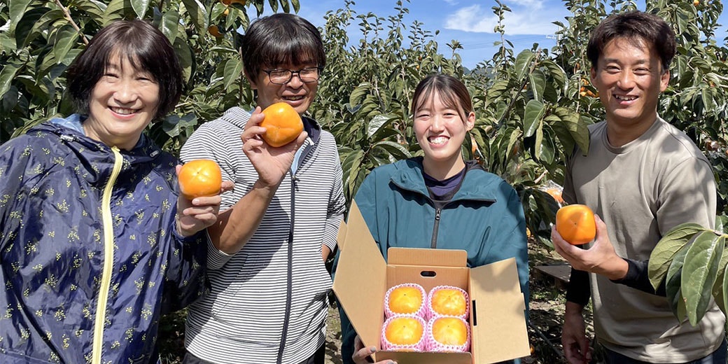 送料込】『たねなし柿・大玉3Lサイズ×6個』～まごころ栽培で溢れる果汁