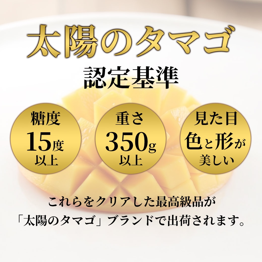 送料込】とろける食感と濃厚な甘み！本場宮崎県産 完熟マンゴー「太陽