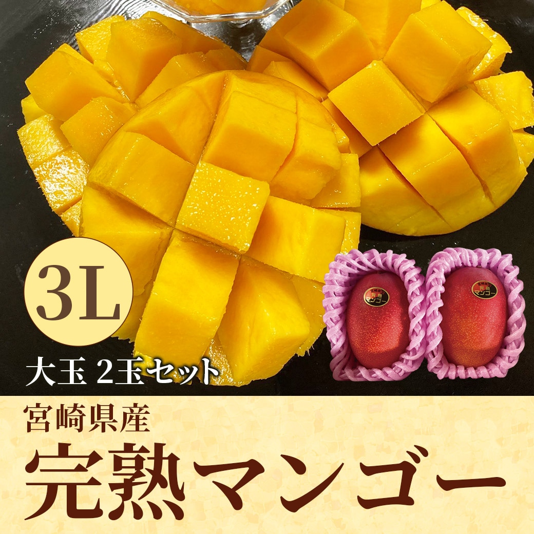 送料込】とろける食感と濃厚な甘み！本場宮崎県産 完熟マンゴー 3L