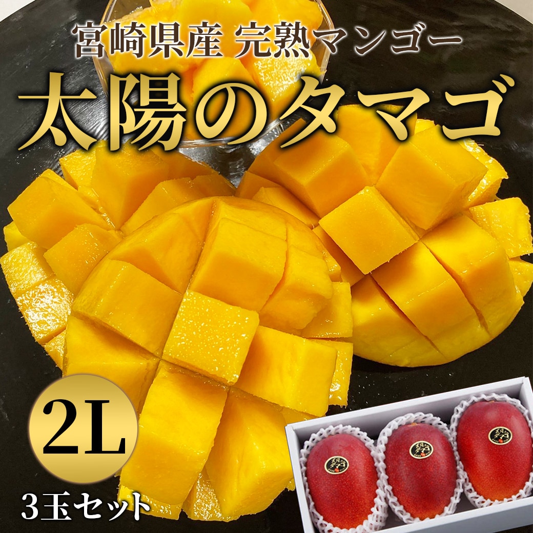 イメージ02