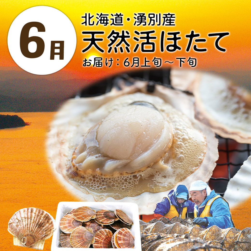 6月天然活ほたて