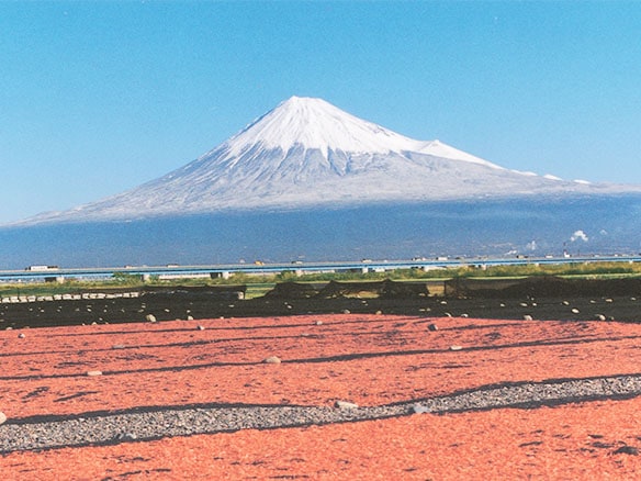 富士山