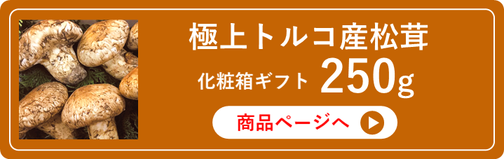 送料込】北米産松茸500g｜ホップスモール公式通販(阪急交通社グループ)